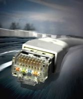 Modularstecker an einer Leitung